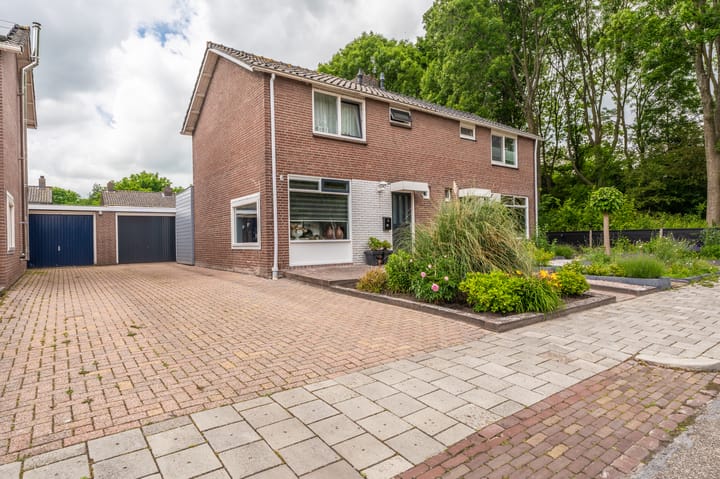 Mondsteen 23