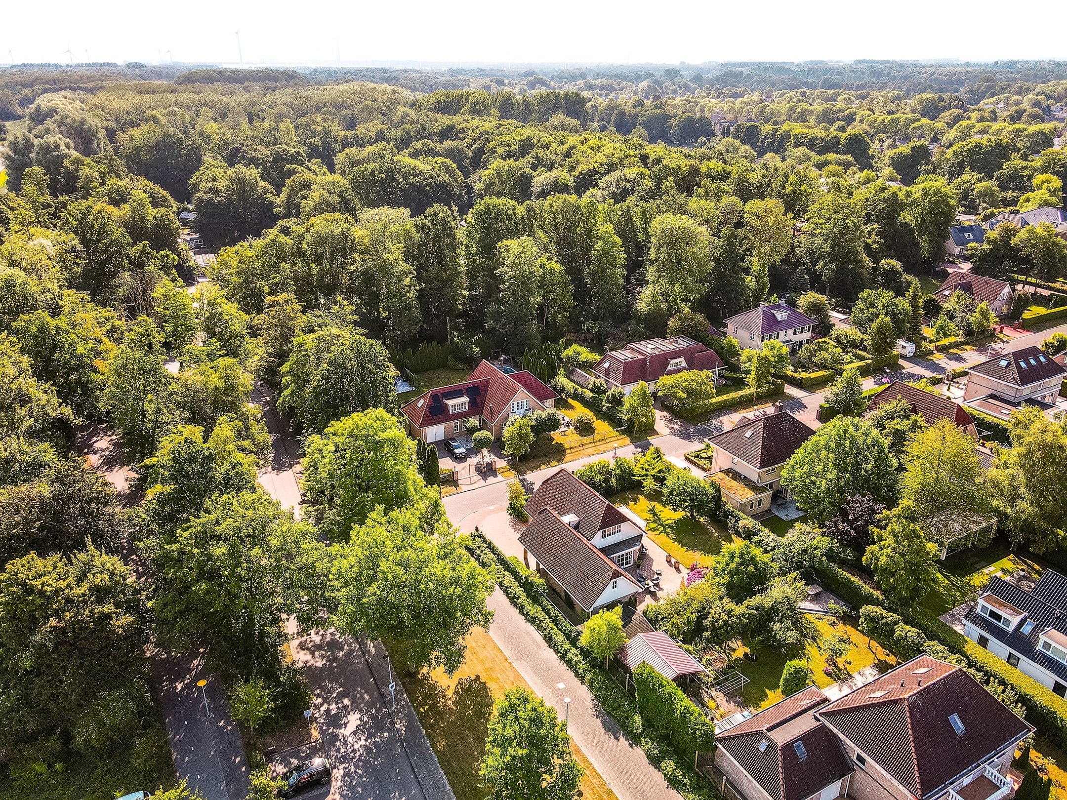 Foto 69 van Langevelderslag 12