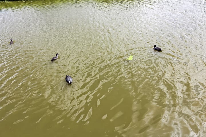 Foto 23 van Lijsbeth Tijsweg 7-131