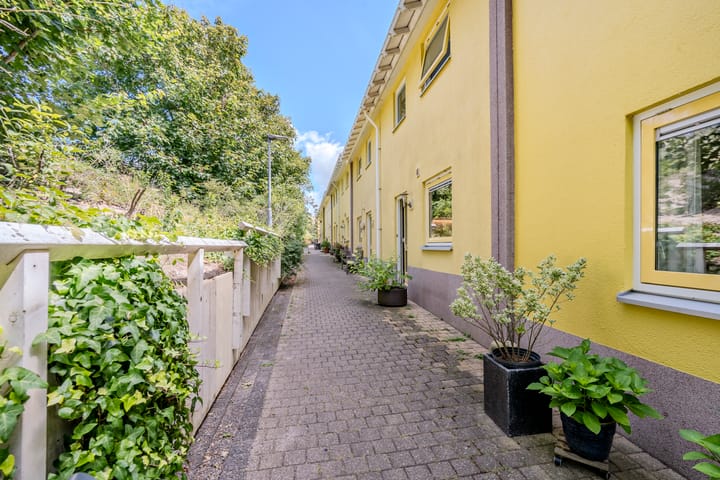 Foto 8 van Jan Dirk z'n Dal 75