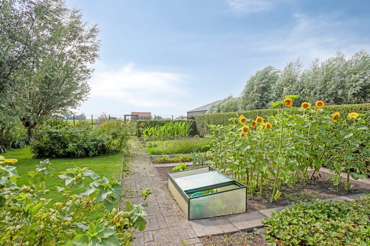 Photo 32 of Mijzijde 92