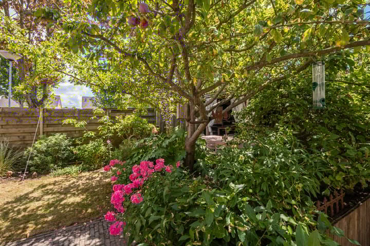 Foto 37 van Plataanstraat 1