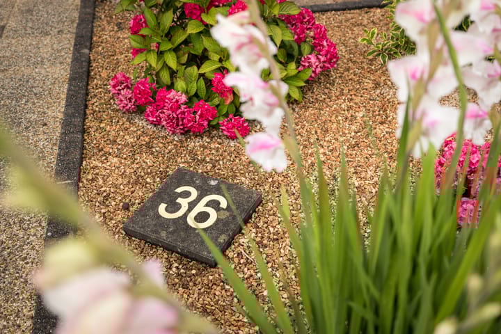 Photo 6 of Gerard Boedijnweg 36