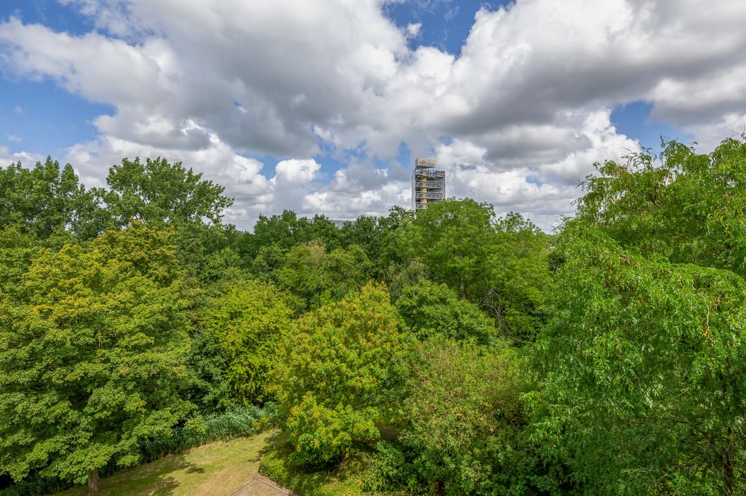 Foto 7 van Burgemeester A. van Walsumlaan 313