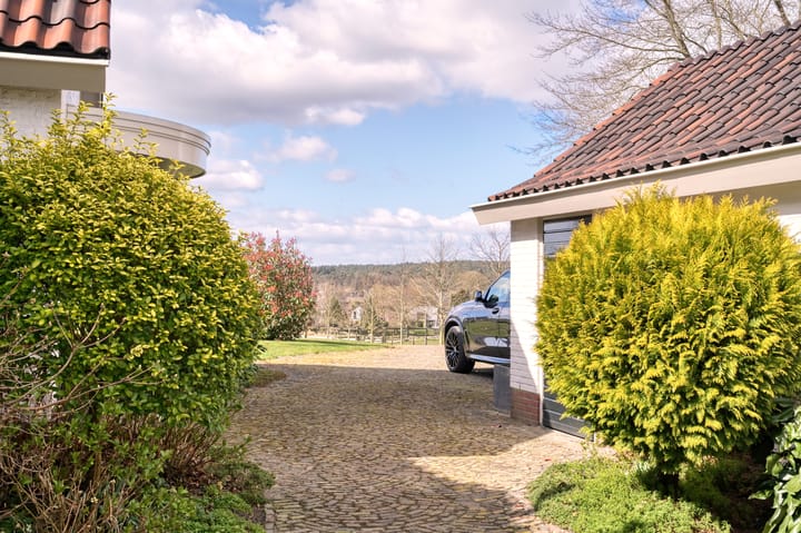 Foto 52 van Molenberg 5