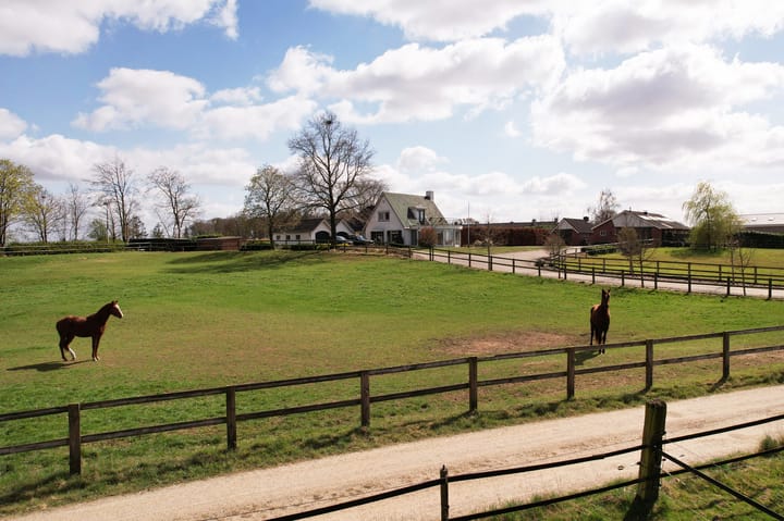 Foto 57 van Molenberg 5