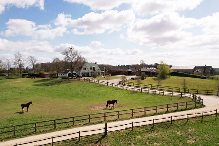 Foto 58 van Molenberg 5