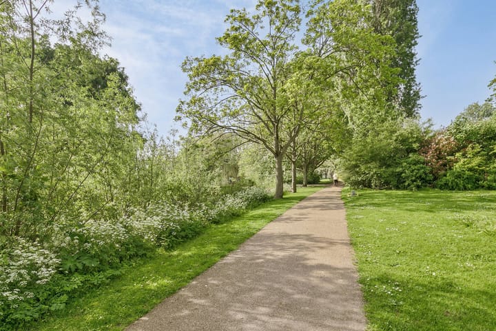 Foto 30 van Dr. de Visserstraat 29