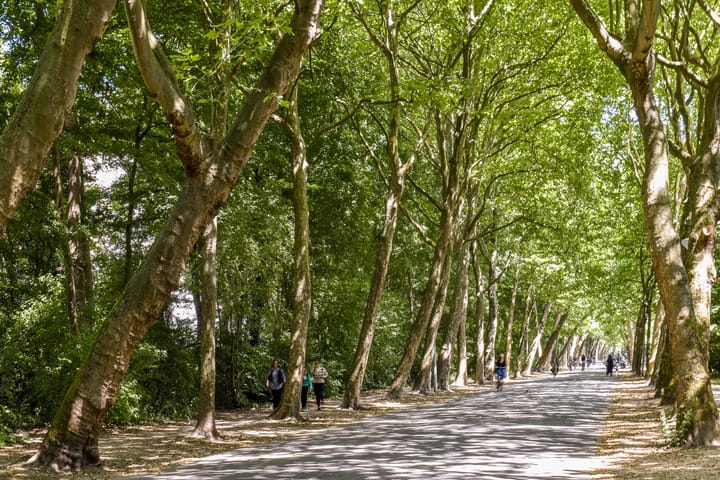 Foto 23 van Valeriusplein 4-D