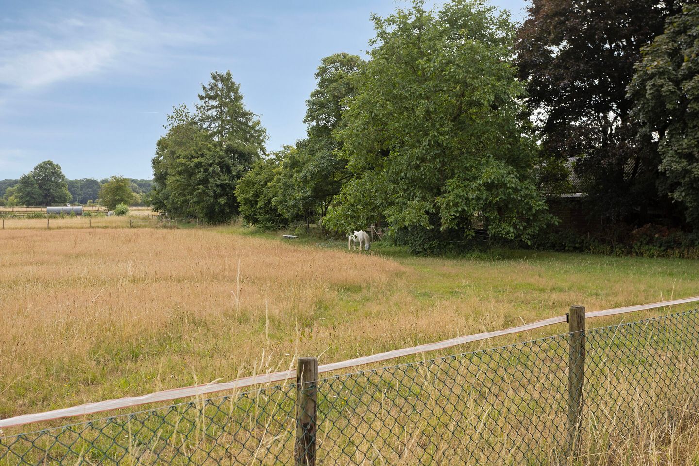 Foto 19 van Diedenweg 99-II