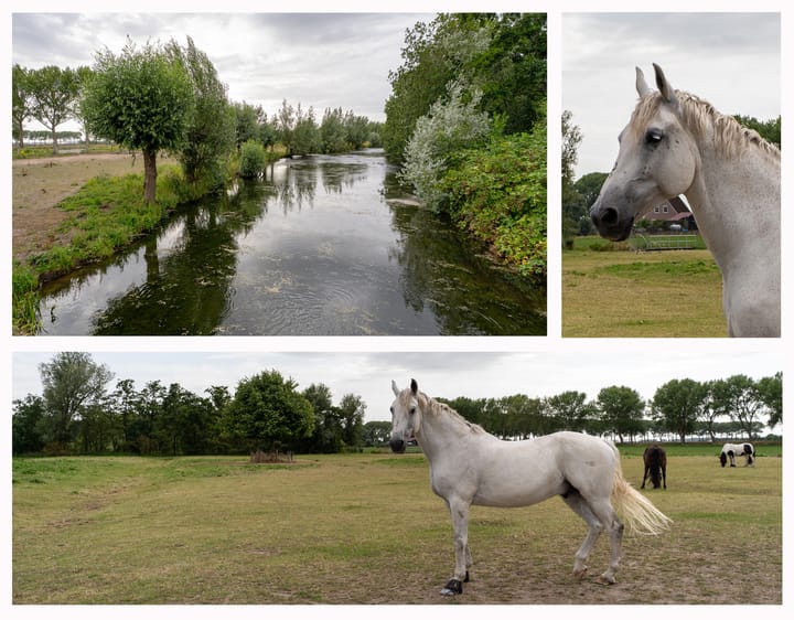 Foto 7 van Malledijk 12