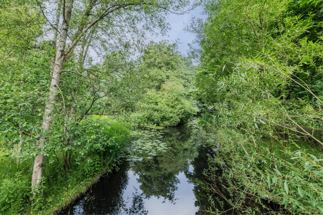 Photo 37 of Marketentster 32