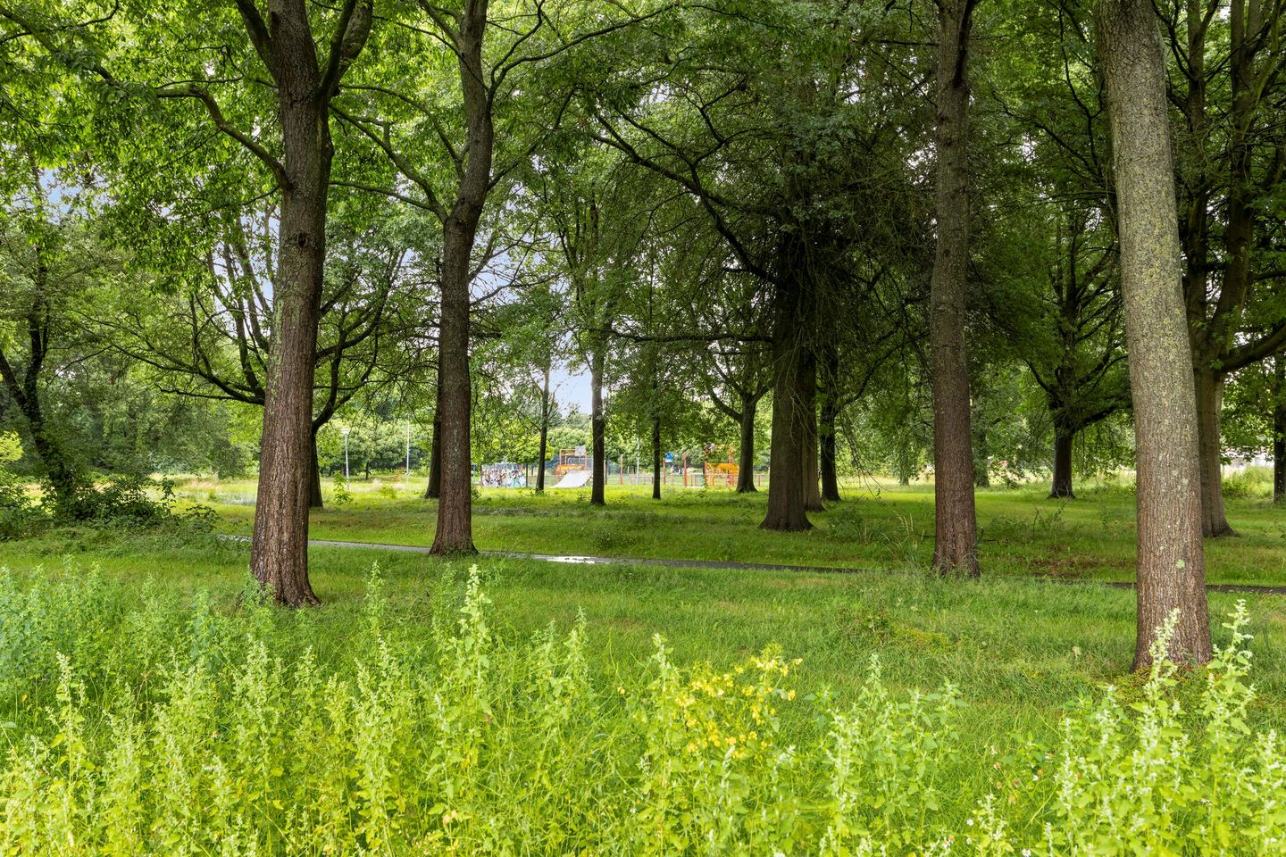 Foto 34 van Scheldestraat 4