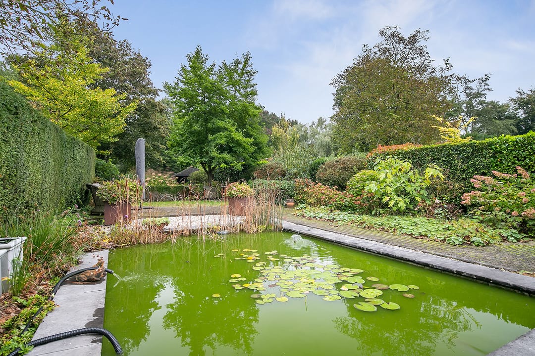 Photo 31 of Wommelgemhof 16