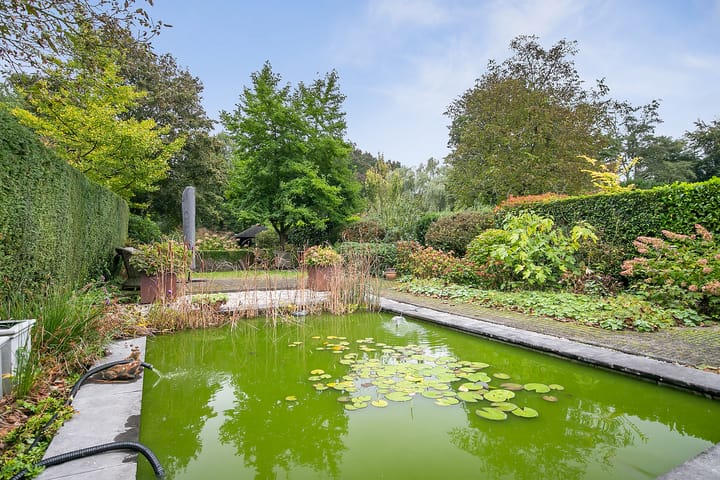 Foto 31 van Wommelgemhof 16