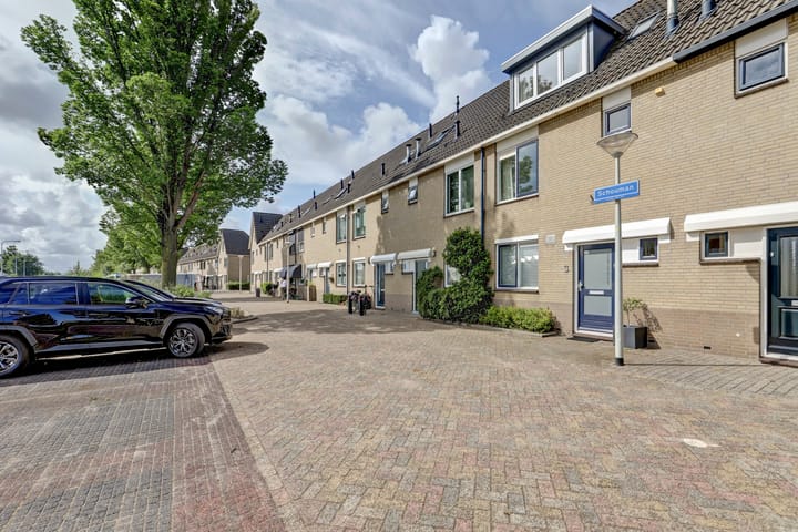 Photo 30 of Schouman 3