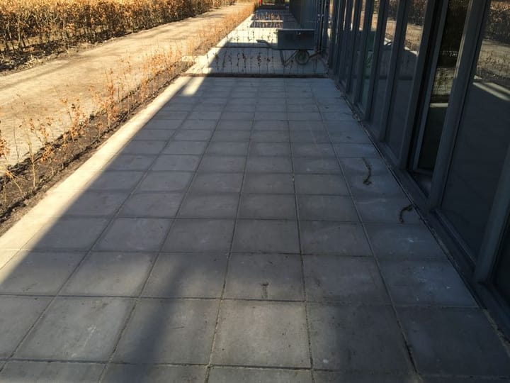 Foto 23 van Grenenhout 8-024