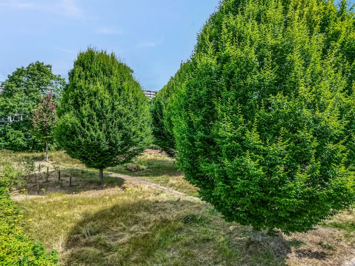 Foto 36 van Van der Goesstraat 4