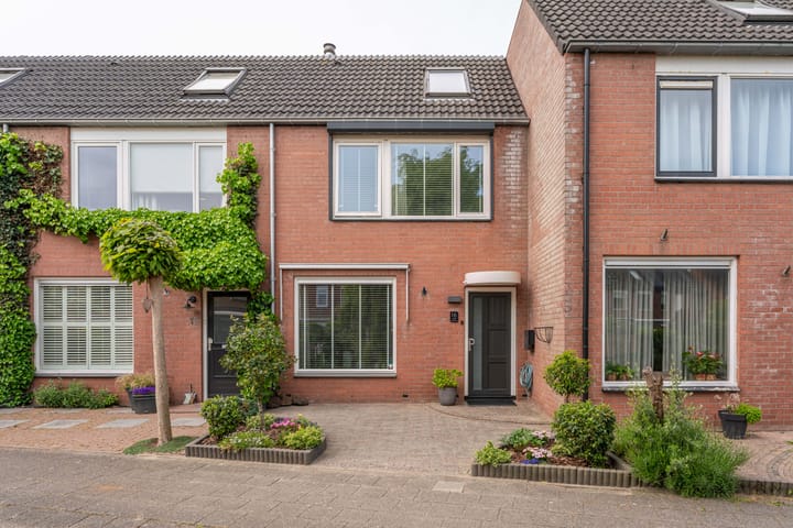 Foto 1 van Paardebloem 16