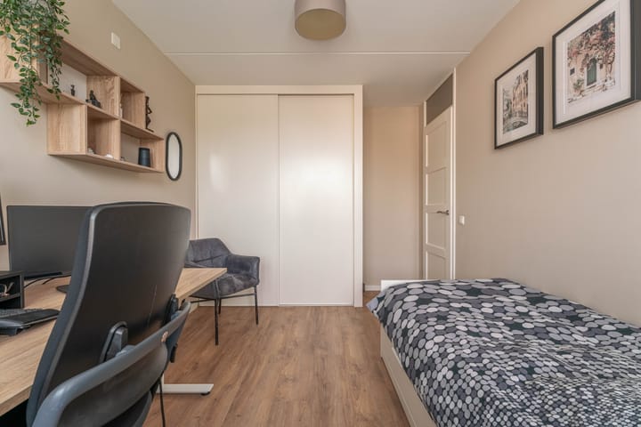 Foto 15 van Paardebloem 16