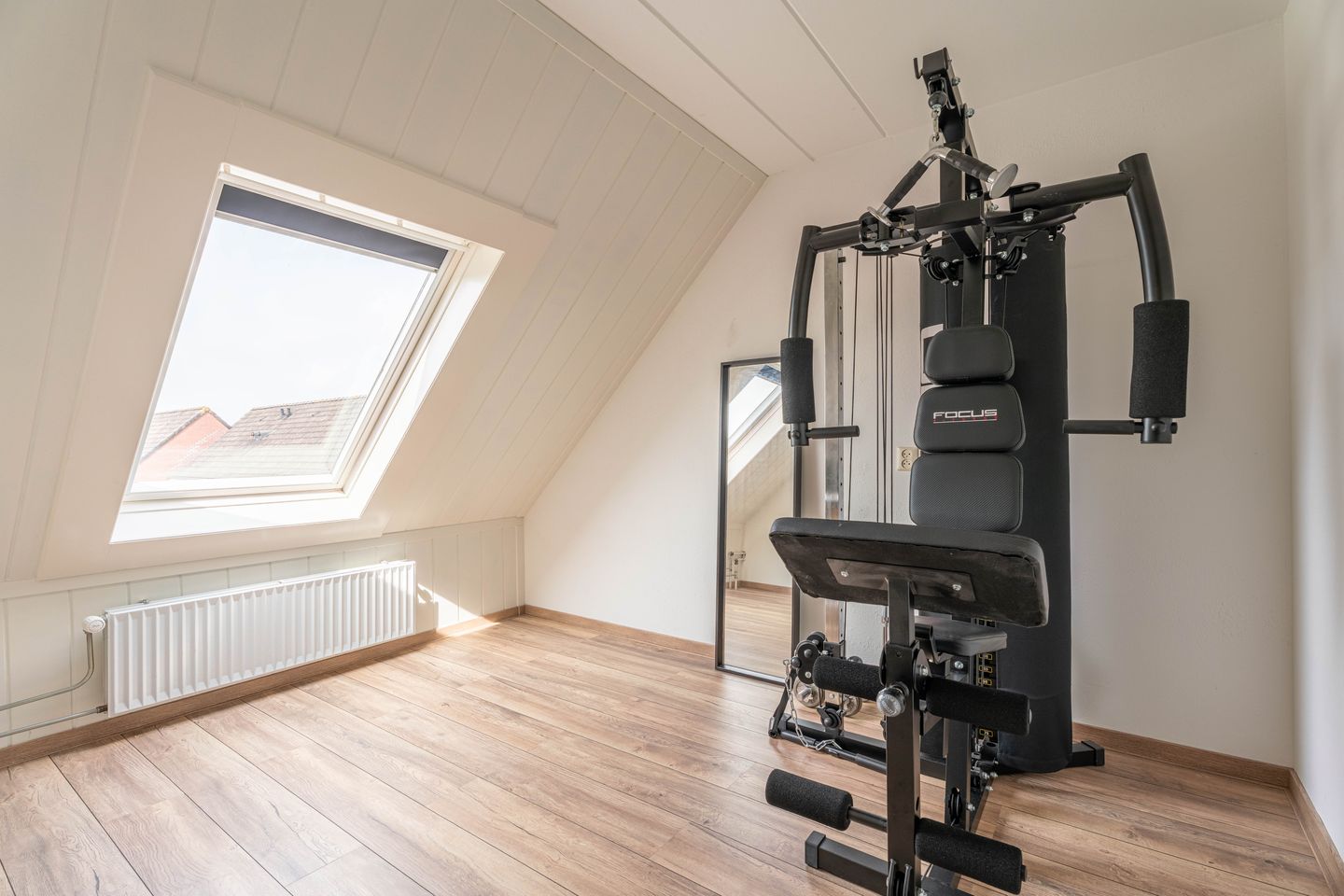 Foto 19 van Paardebloem 16