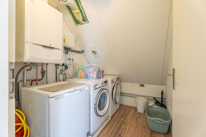 Foto 22 van Paardebloem 16