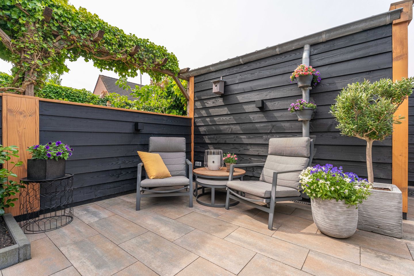 Foto 25 van Paardebloem 16