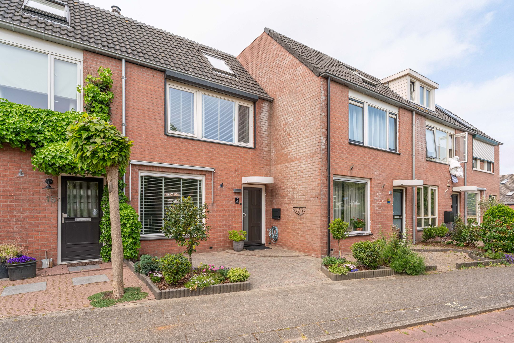 Foto 27 van Paardebloem 16