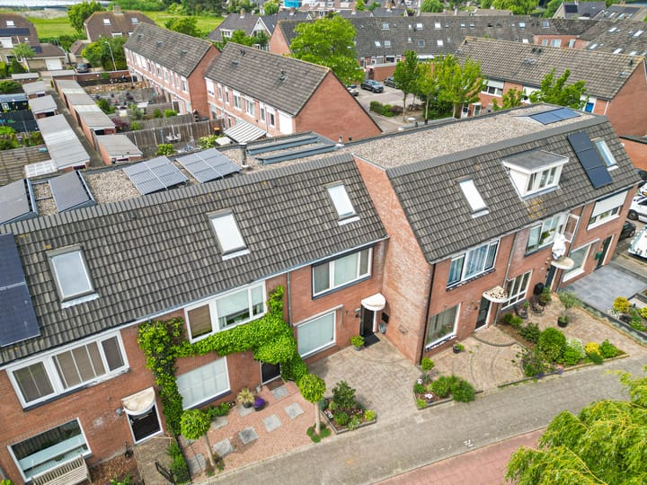 Foto 28 van Paardebloem 16