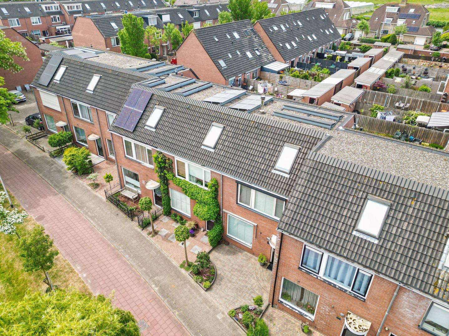 Foto 29 van Paardebloem 16