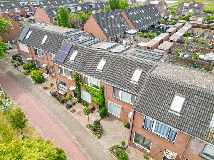 Foto 29 van Paardebloem 16