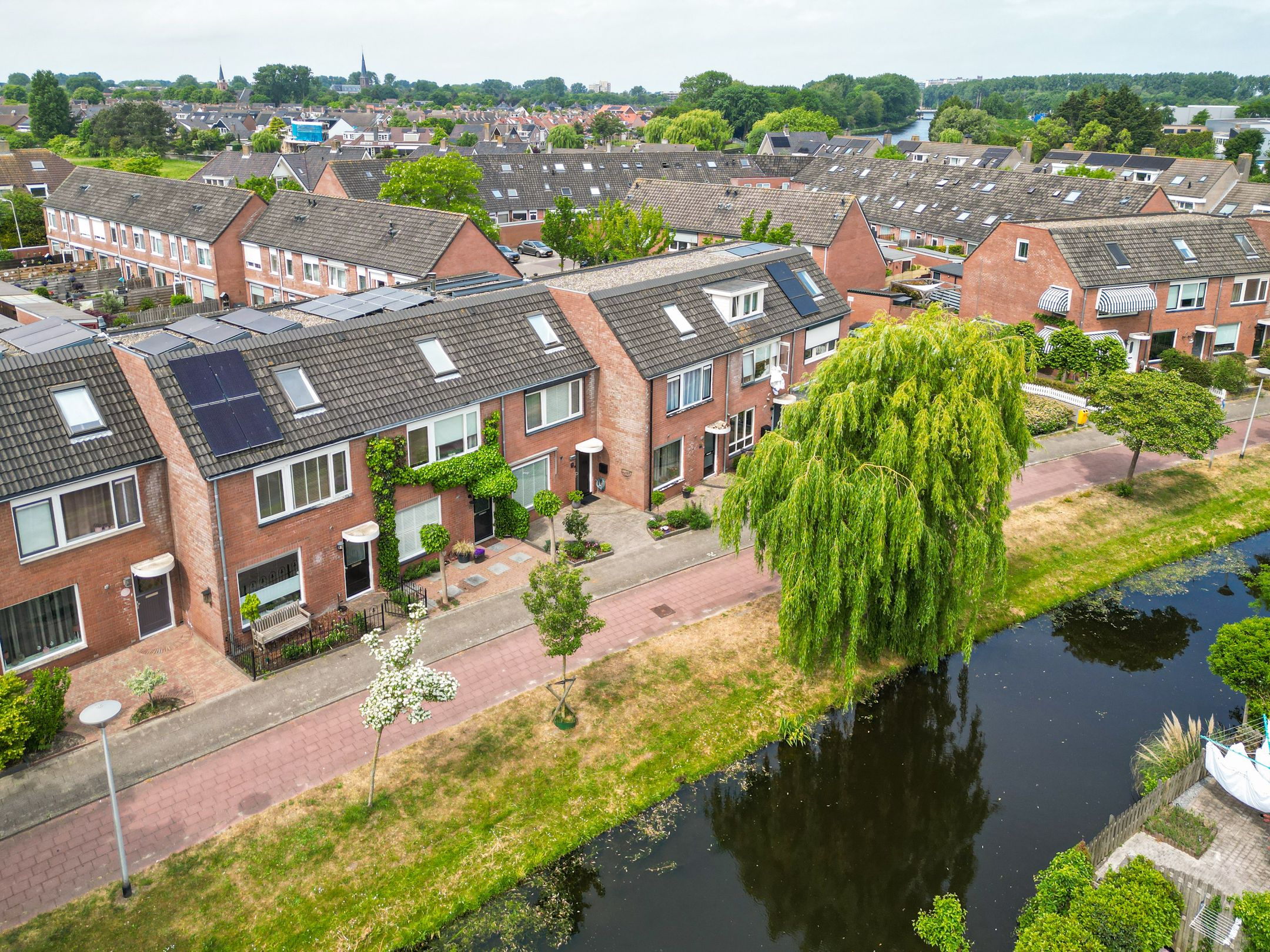 Foto 30 van Paardebloem 16