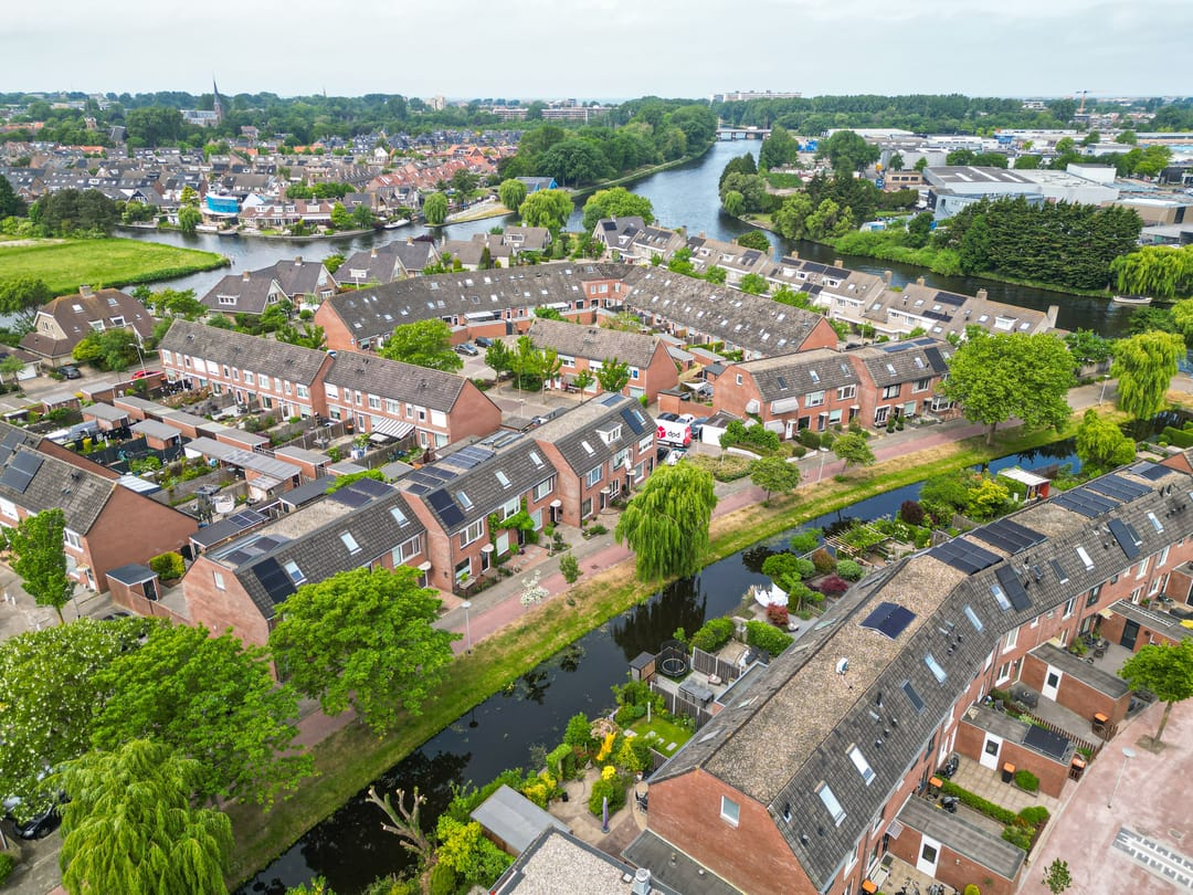 Foto 31 van Paardebloem 16