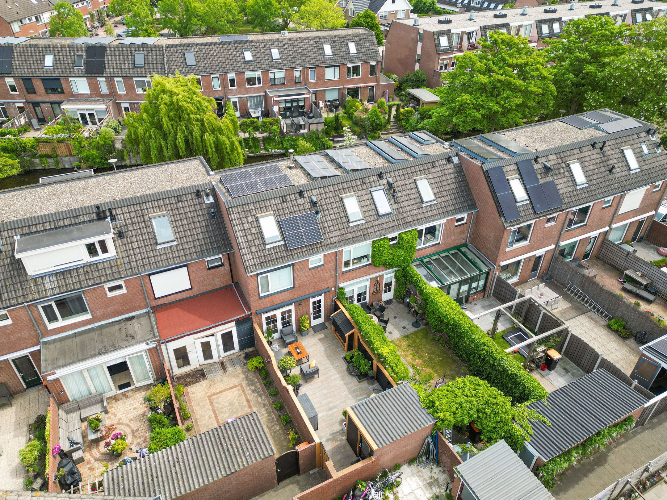 Foto 33 van Paardebloem 16