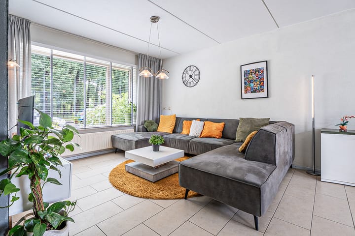 Foto 2 van Alpenlaan 161