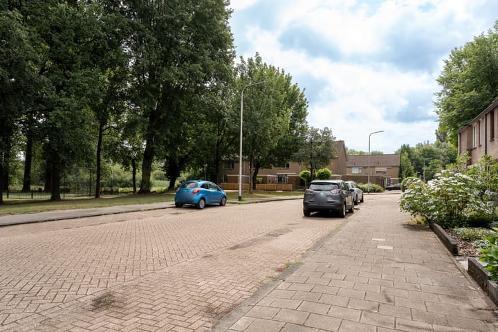 Foto 26 van Alpenlaan 161