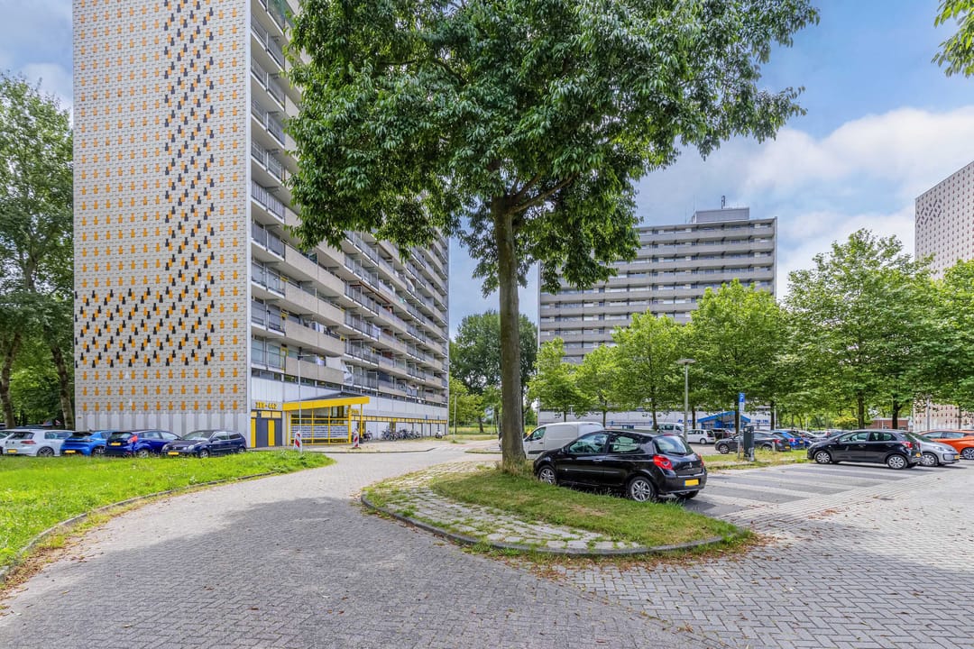 Foto 7 van Tjaarda 348