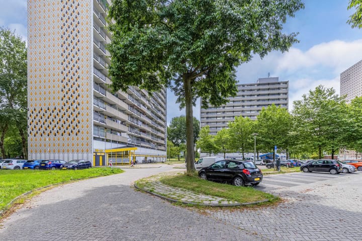 Foto 7 van Tjaarda 348