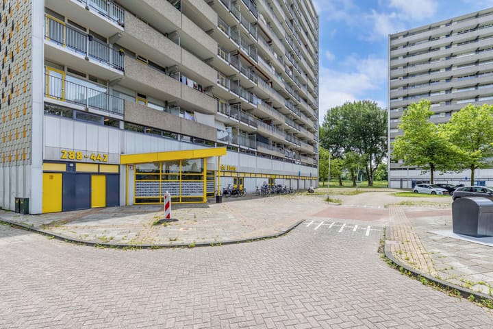 Foto 8 van Tjaarda 348