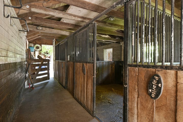 Photo 48 of Engerstraat 4