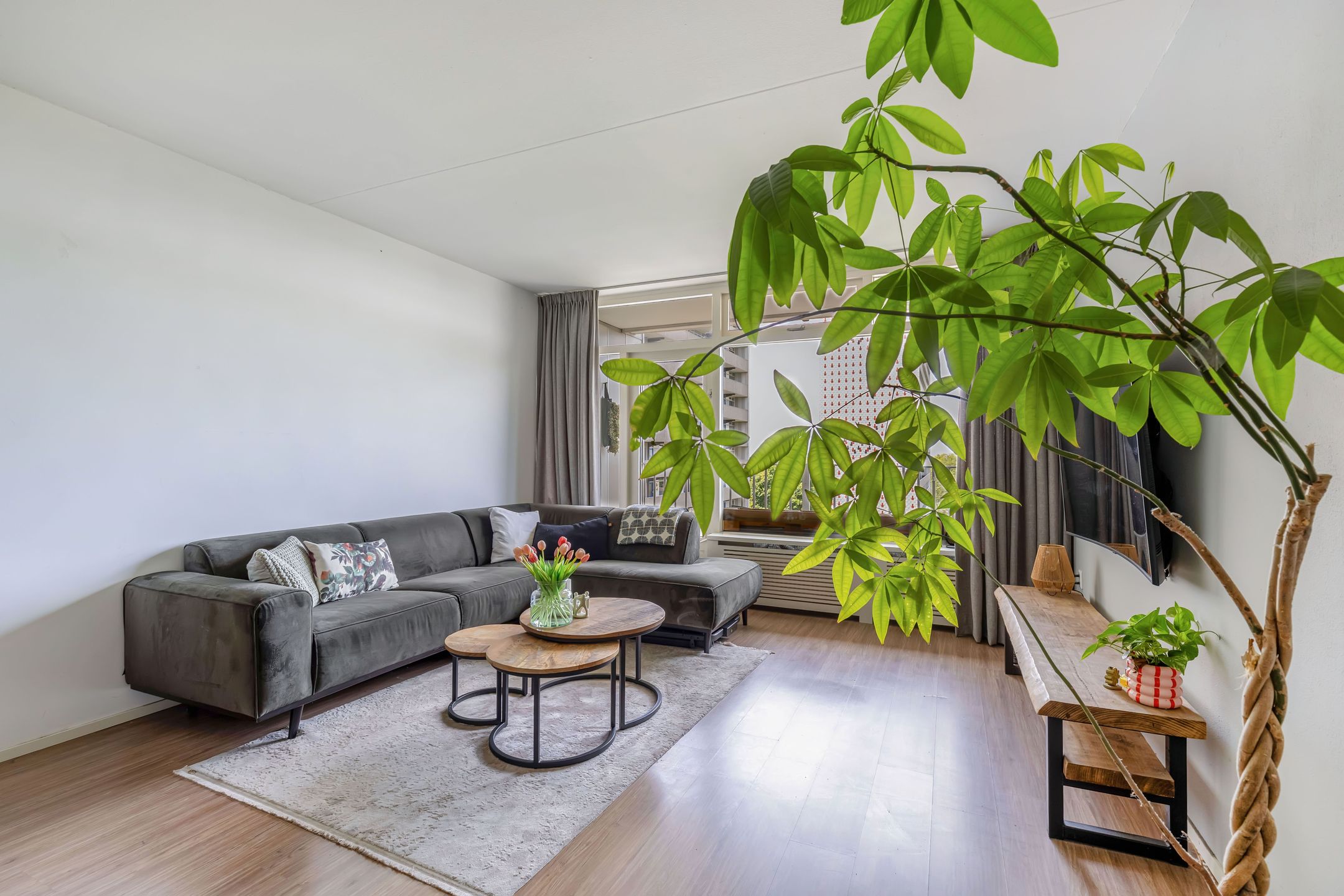 Foto 18 van Tjaarda 348