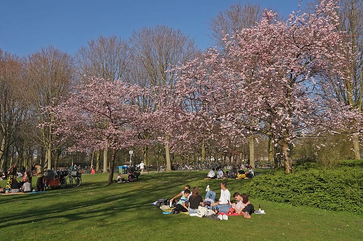 Foto 21 van Anna van Burenstraat 17-1