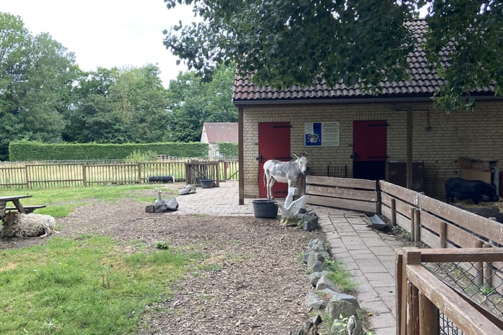 Foto 29 van Groene Heuvels 102