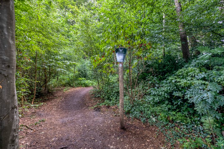 Foto 66 van Huenderkolkweg 8