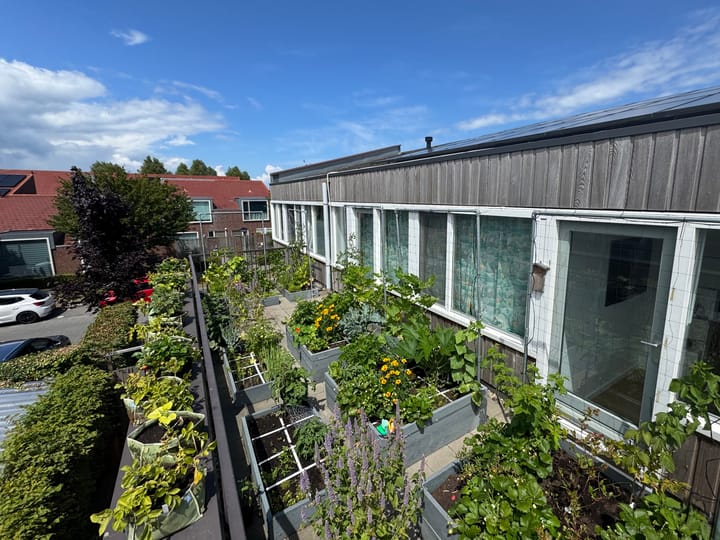 Foto 3 van Helmstok 14