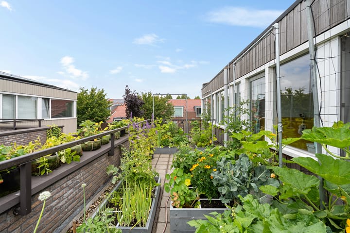 Foto 43 van Helmstok 14