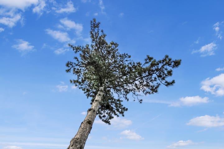 Photo 15 of Lijsbeth Tijsweg 7-62