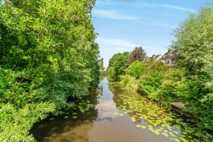 Photo 31 of Binnenhof 5