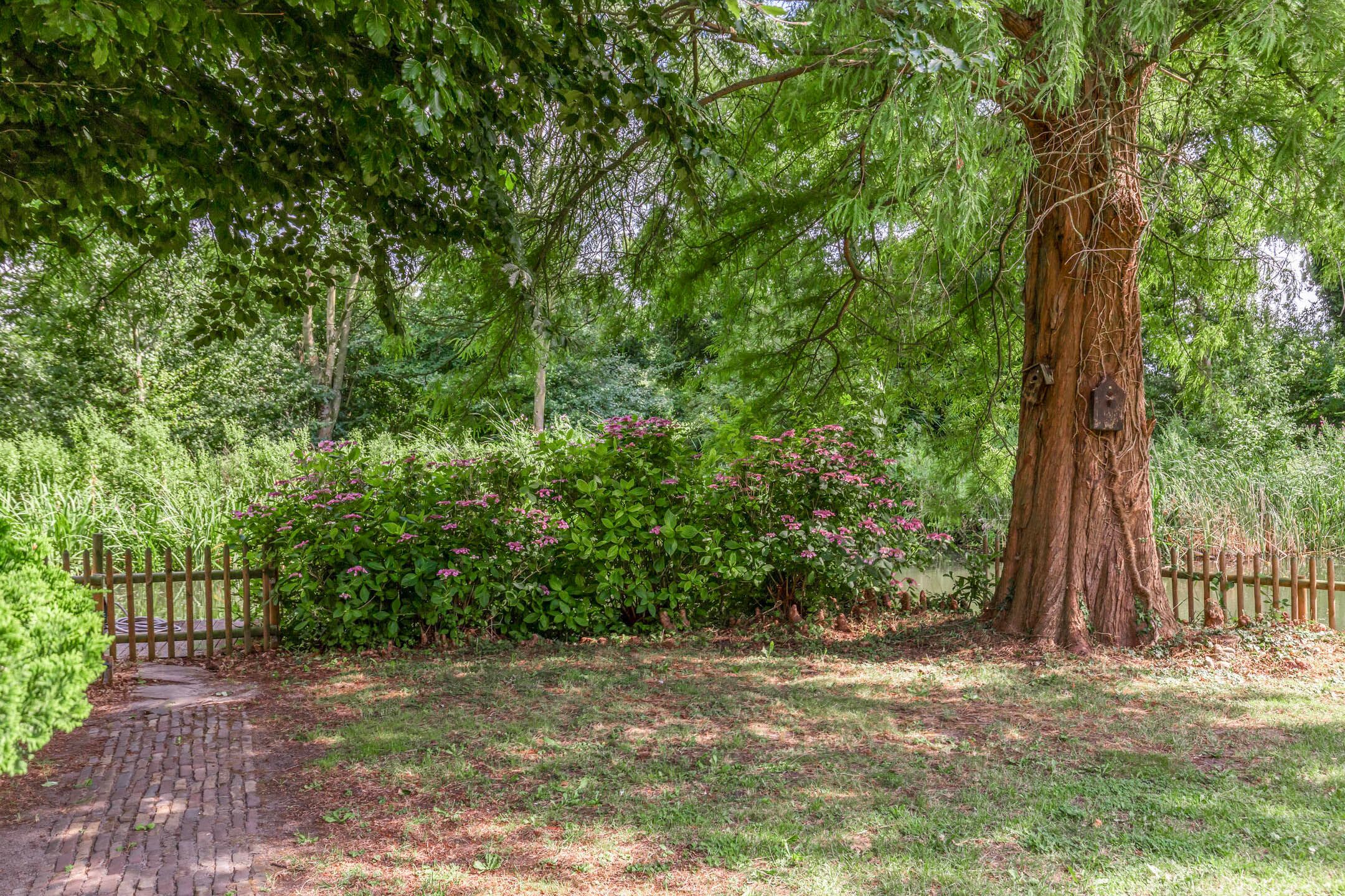 Foto 39 van Burgemeester Lepelaarssingel 70