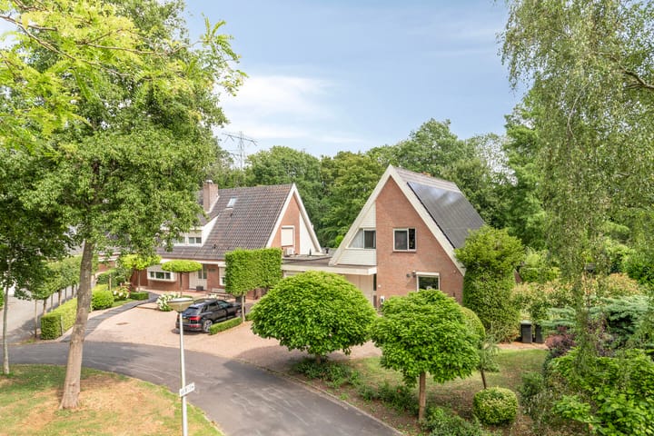 Foto 44 van Burgemeester Lepelaarssingel 70